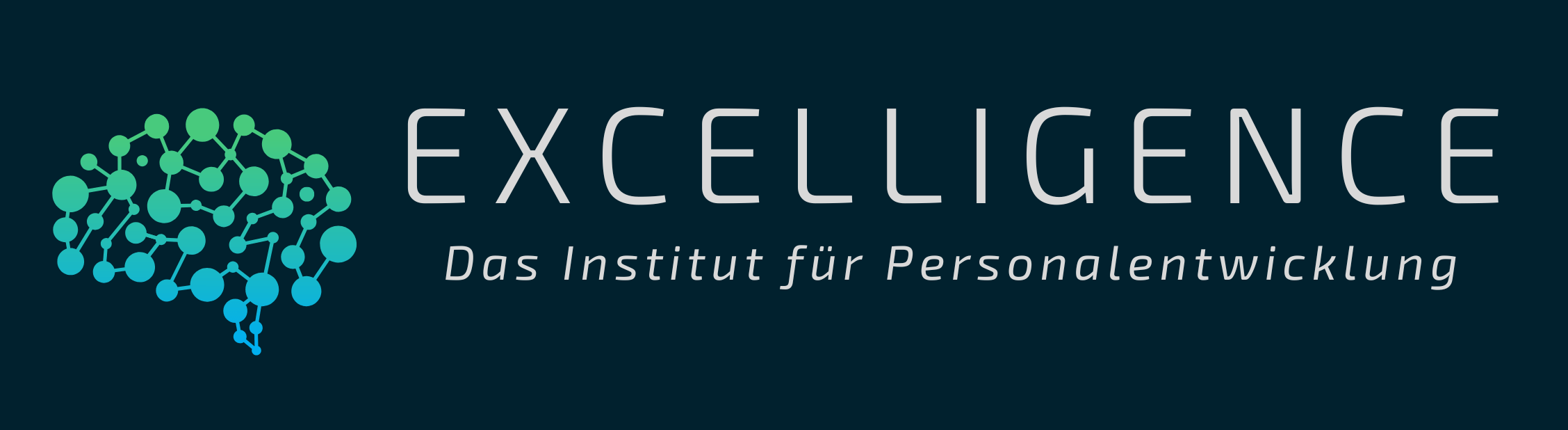 Excelligence Logo Banner